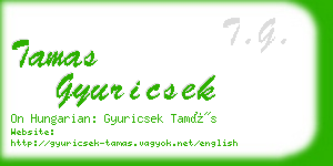 tamas gyuricsek business card